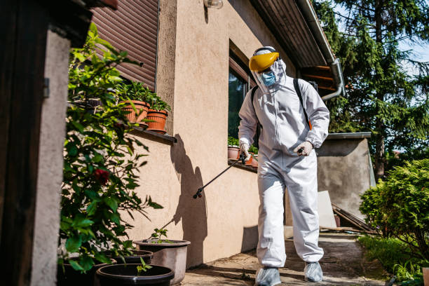 Flea Control Services in Baxley, GA