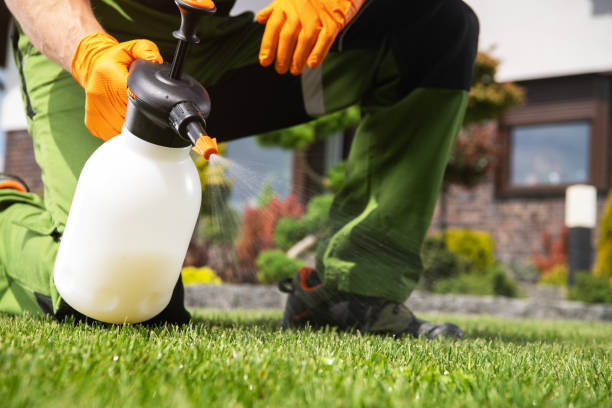 Best Emergency Pest Control  in Baxley, GA