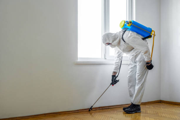 Best Mosquito Control Services  in Baxley, GA