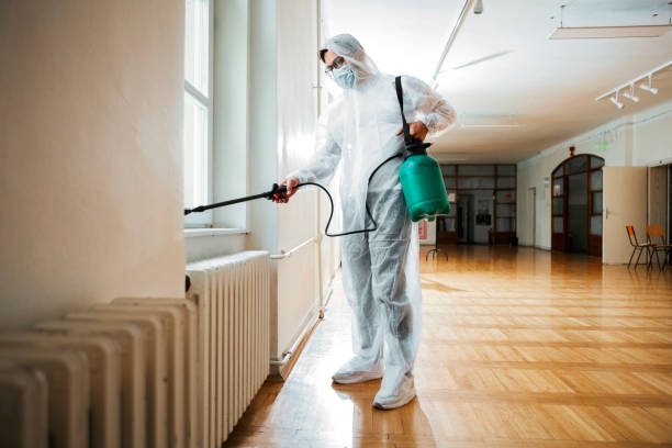 Best Termite Control Services  in Baxley, GA